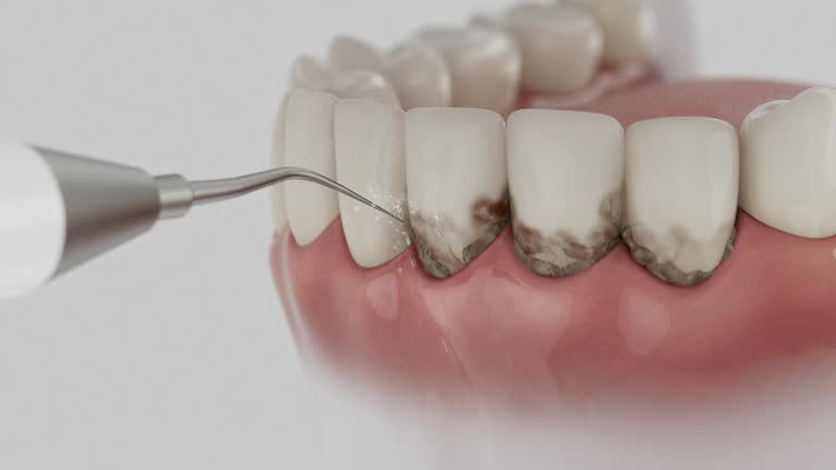 Reliable Dental contractor in New Baltimore, OH by Dentist Open Now